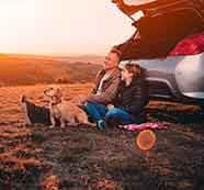 免费ddos攻击网页端